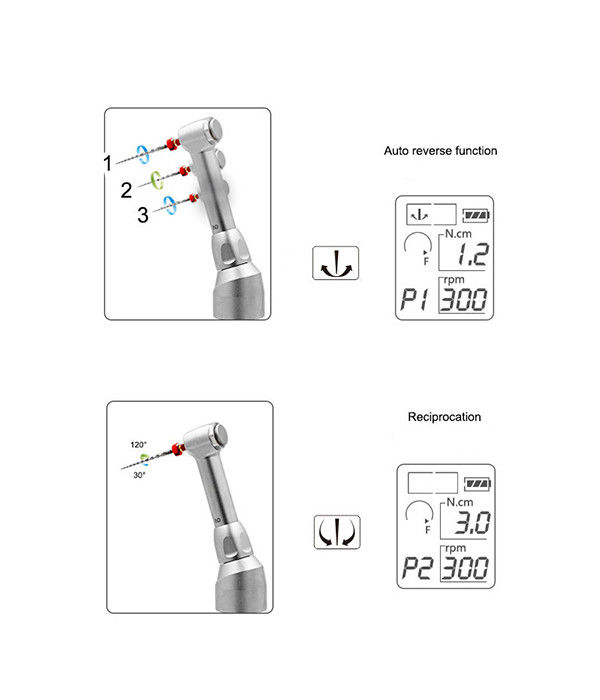 COXO C-smart Mini 2 moteur dental sans fil Endo moteur sans fil équipement du canal radiculaire instrument dentaire
