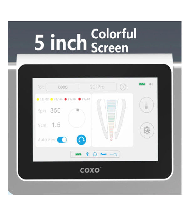 Dentiste C Master Coxos Moteur électrique dentaire avec endomotor Tout en un électrique sans pinceau Led Micromotor Endodontie